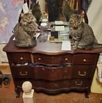Kenneth McCutcheon - Facebook