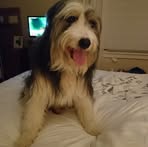 Kenneth Mcewan - Facebook