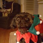 Kenneth McNaught - Facebook