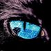 Kenneth McRoy - Facebook