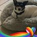 Kenneth McWhorter - Facebook