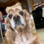 Charlie Means - @kennethwmeans - Instagram