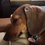 Kenneth means - @xenameans - Instagram