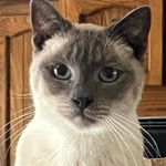 Kenny’s Photo Emporium - @kenneth_meece - Instagram