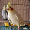 kennethmentzer2504 - @kennethmentzer2504 - TikTok