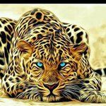Kenneth Metoyer - @kennethmetoyer1968 - Instagram