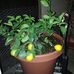 Kenneth Molnar - Facebook