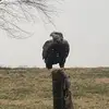 Kenneth Morehead - @user392232058 - TikTok