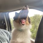 @kennethmoriarty23 - Instagram