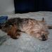 Kenneth Moultrie - Facebook