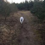 Kenneth Sauer Munk - @sauer.it - Instagram