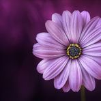 Kenneth Nading - Facebook