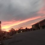 Kenneth Nelligan - @nelligankenneth - Instagram