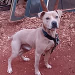 Kenneth Nelms - @kenneth_nelms - Instagram