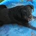 Ken Newcombe - Facebook