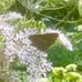 Kenneth Newcombe - Facebook
