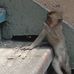 Kenneth Nilsen - Facebook