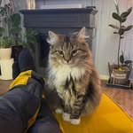 Kenneth Nygaard - @kenneth.j.nygaard - Instagram