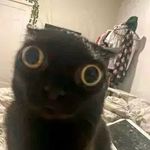Кенни Цутс - @kenneth_o_hara - Instagram