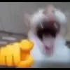 Kenneth M. Ohman - @kenneth.m..ohman - TikTok