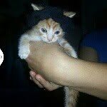kenneth padron - @kenneth_padron12 - Instagram