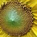 Kenneth Pendleton - Facebook