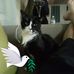 Kenneth Perrone - Facebook