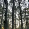 Kenneth Peter - @kenneth.peter58 - TikTok