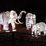 Kenneth Peterman - @kennethpeterman28 - Instagram