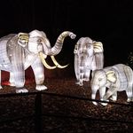 Kenneth Peterman - @kennethpeterman28 - Instagram