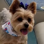 Kenneth Pickles - @pickleskenneth - Instagram