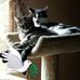 Ken Pickron - Facebook
