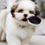 Kenneth Pinder - @muslovedogss - Instagram