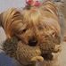 Kenneth Pine - Facebook