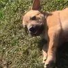 Kenneth Pineda - @kenneth.pineda0 - TikTok