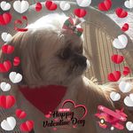 Kenneth Pinkerton - @pinkertonkenneth - Instagram