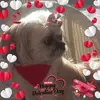 kennethpinkerton80 ken - @kennethpinkerton80 - TikTok