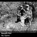 Kenneth Pitre - Facebook