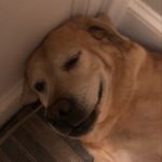 Kenneth Player - @smarter_homes_ - Instagram