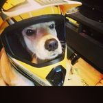 Ho Po - @kenneth_poho - Instagram