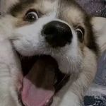 Kenneth Poh - @kennethpoh_ - Instagram