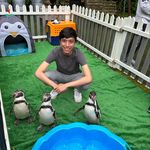 kenneth poh - @kenneth_poh - Instagram