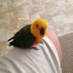 Kenneth Portas - @whiteshark1973 - Instagram