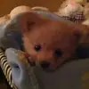 Kenneth Power - @kenneth.power - TikTok