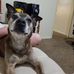 Kenneth Pyles - Facebook