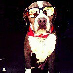 kennethquintero - @kennethquintero - Instagram