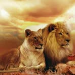 Kenneth Read - Facebook