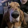 Ken Renaud - @ken.renaud - TikTok