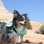 Kenneth Renshaw - @renshaw.kenneth - Instagram