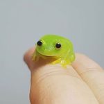 Kenneth Ringor - @kenneth_ringor - Instagram